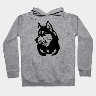 Dog Hoodie